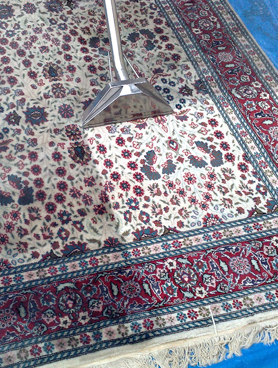 pro-Rug-Cleaning-services-dix-hills-new-york-Polyester-and-polyester-blends